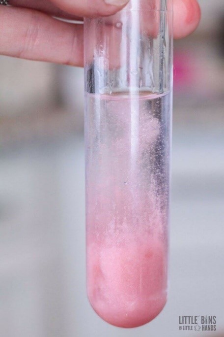 Strawberry DNA - Discover what DNA looks like up close!  